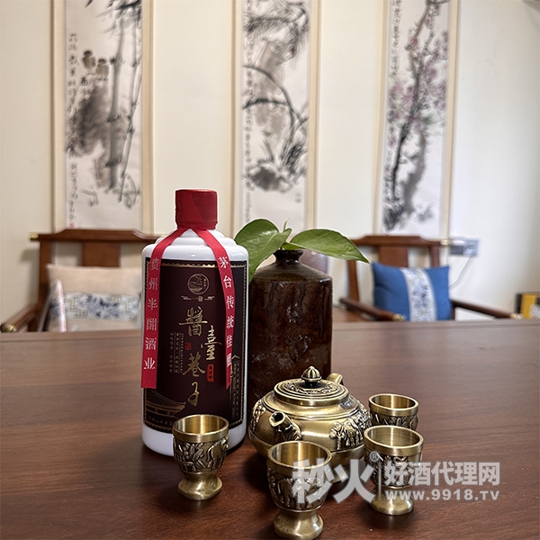 一巷酱台巷子酱香型白酒53度500ml