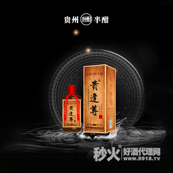 贵逢尊V5酱香型白酒53度500ml