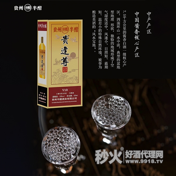 贵逢尊V10酱香型白酒53度500ml