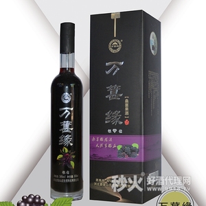 万葚缘银钻桑葚果酒36度500ml