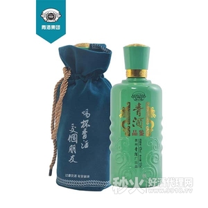 青酒品鉴洞藏老酒42度500ml