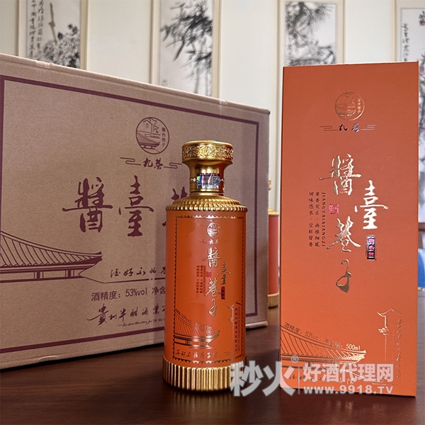 酱台巷子九巷酱香型白酒53度500ml