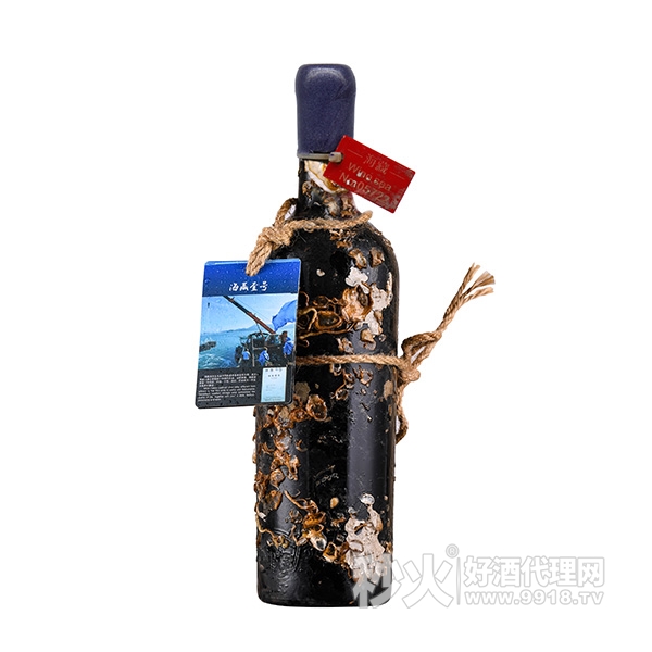 海藏壹号干红葡萄酒实物图