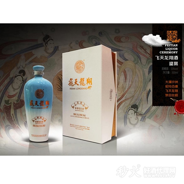 飛天龍翔鉴赏53度500ml