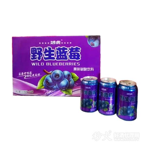 野生蓝莓果味碳酸饮料320mlx24罐