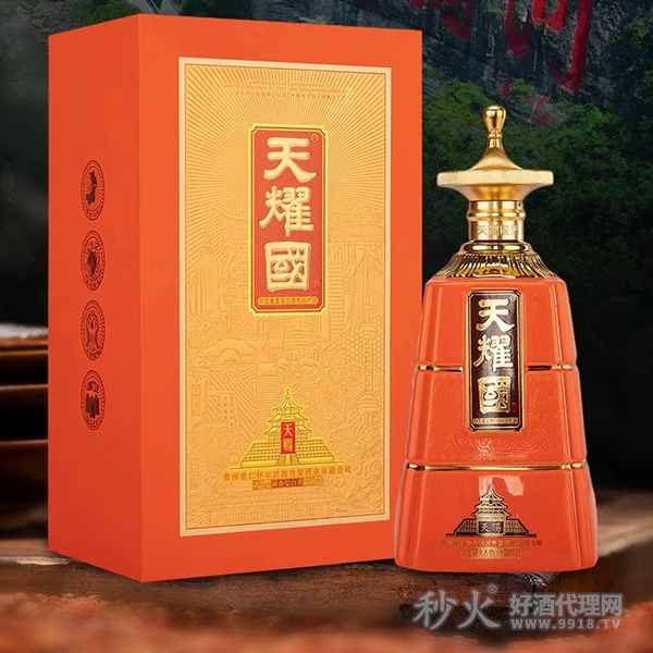 天耀国酱香型白酒53度500ml