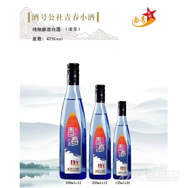 酒号公社青春小酒42度瓶装