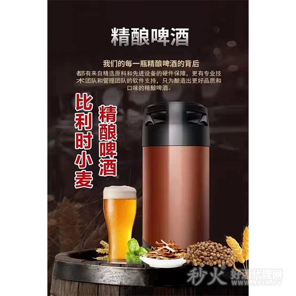 比利时小麦精酿啤酒桶装