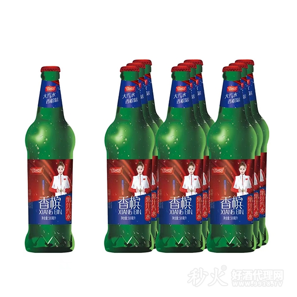 南波万香槟果汁汽水500ml