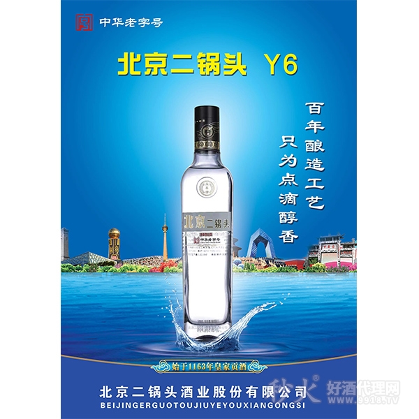 永丰牌北京二锅头Y6瓶装