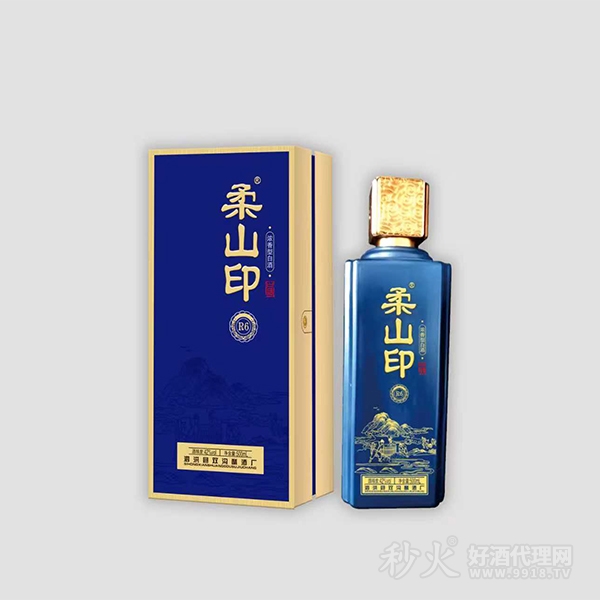 柔山印浓香型白酒42度500ml