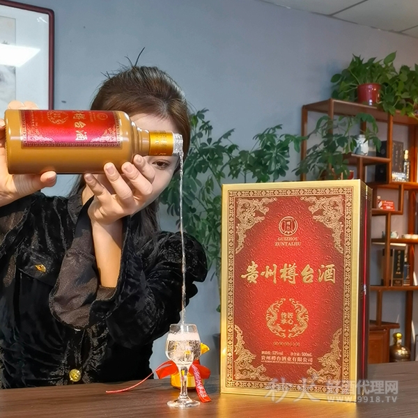 樽台匠心传承53度500ml